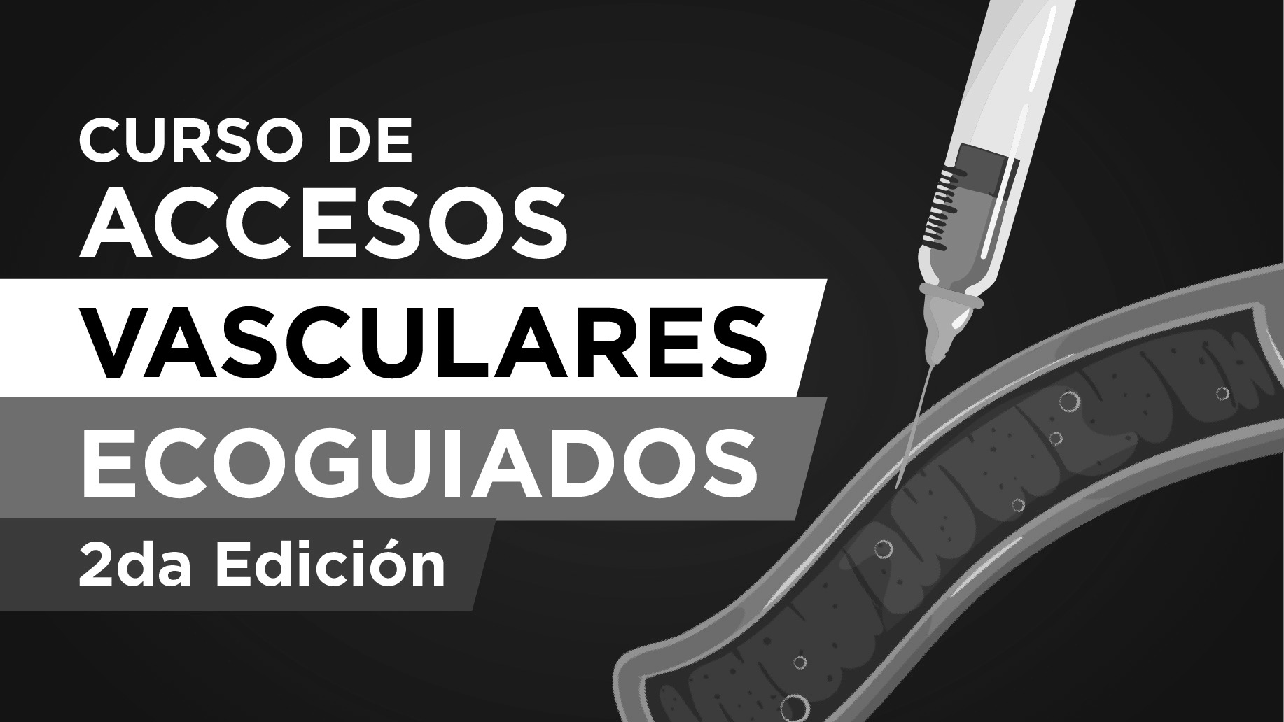 Curso de Accesos Vasculares Ecoguiados (2025Sept)